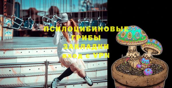 героин Горняк